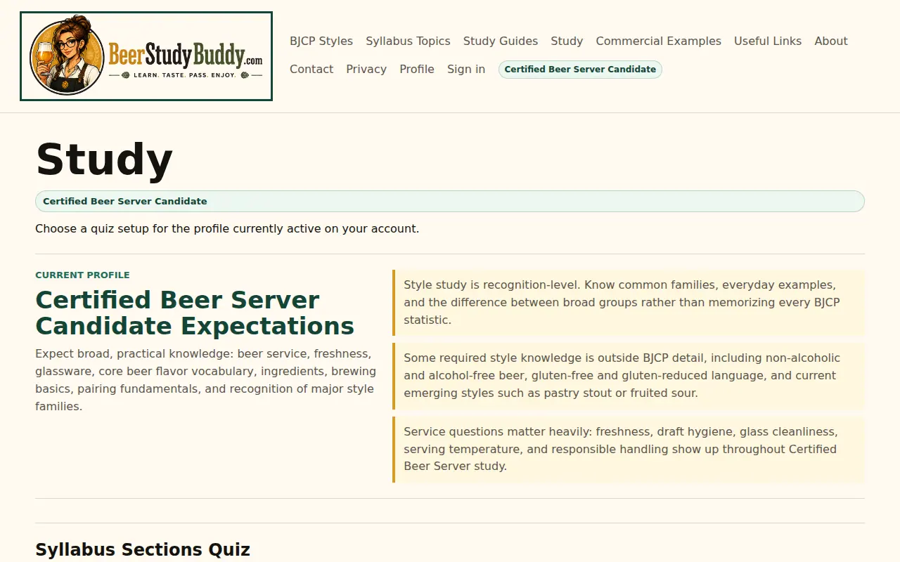 Beer Study Buddy focused study interface